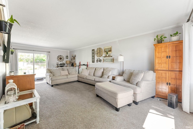 8809 Newberry Dr, Fort Wayne, IN 46825 - living room featuring light carpet and crown molding