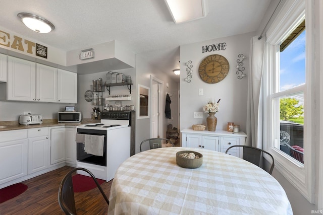 8809 Newberry Dr, Fort Wayne, IN 46825 - kitchen with electric range oven, dark wood-type flooring, white cabinets, and light countertops