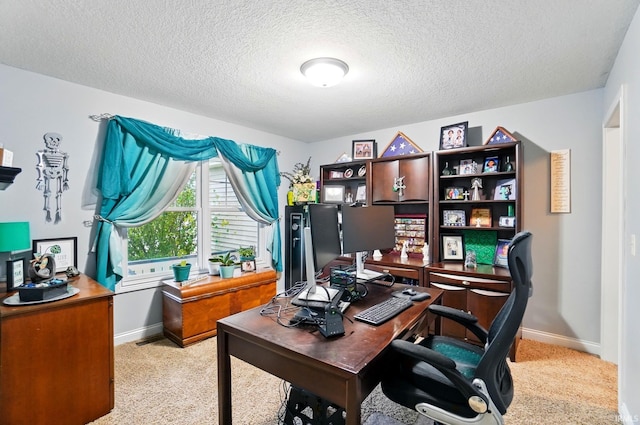10221 Windsail Cv, New Haven, IN 46774 - office area with light carpet, baseboards, and a textured ceiling