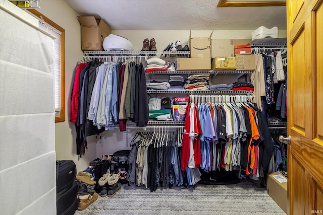 5959 W Delap Rd, Ellettsville, IN 47429 - walk in closet featuring carpet flooring