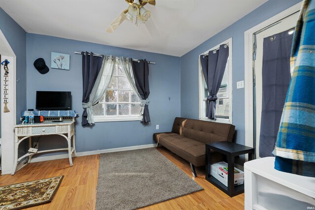 3902 Grayston Ave, Fort Wayne, IN 46806 - living room featuring healthy amount of natural light, ceiling fan, and light wood-type flooring