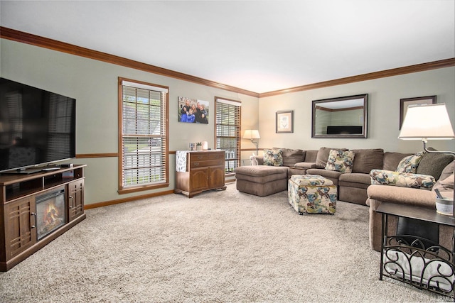 51178 Ashley Dr, Granger, IN 46530 - carpeted living area featuring ornamental molding and baseboards
