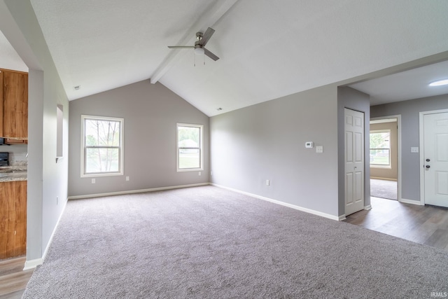 3827 Winter Raven Trl, Fort Wayne, IN 46818 - unfurnished living room with ceiling fan, light carpet, plenty of natural light, and baseboards
