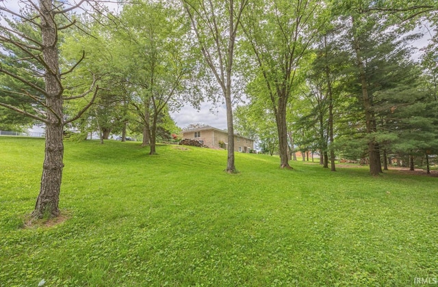 1437 W State Road 56th Rd, Jasper, IN 47546 - view of grassy yard