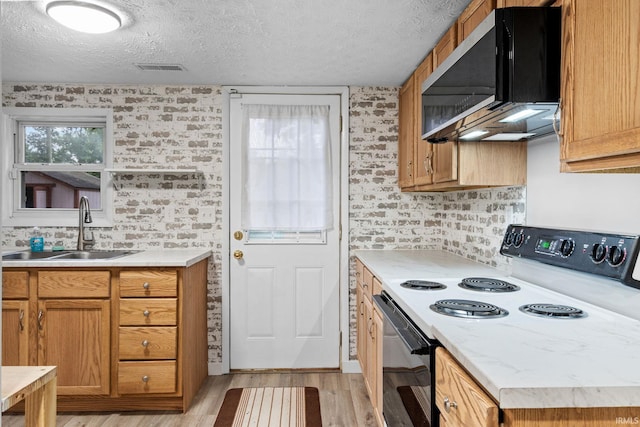 1310 Oak Ave, Lafayette, IN 47905 - kitchen with electric range, a sink, a textured ceiling, light wood-style floors, and light countertops