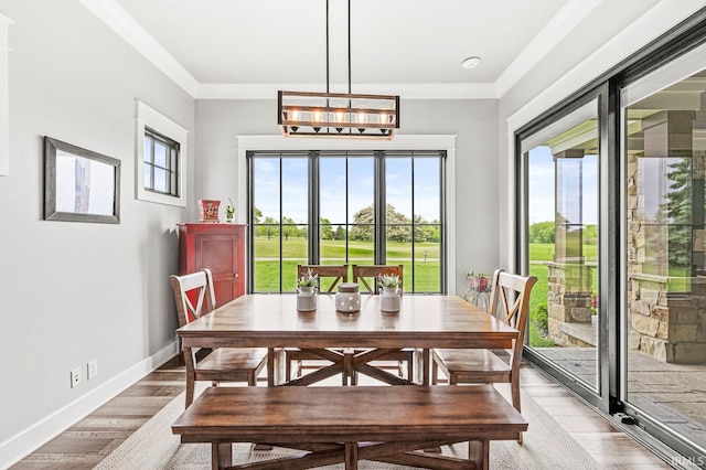 5847 Augusta Blvd, West Lafayette, IN 47906 - dining space with plenty of natural light, baseboards, ornamental molding, a chandelier, and light wood-type flooring