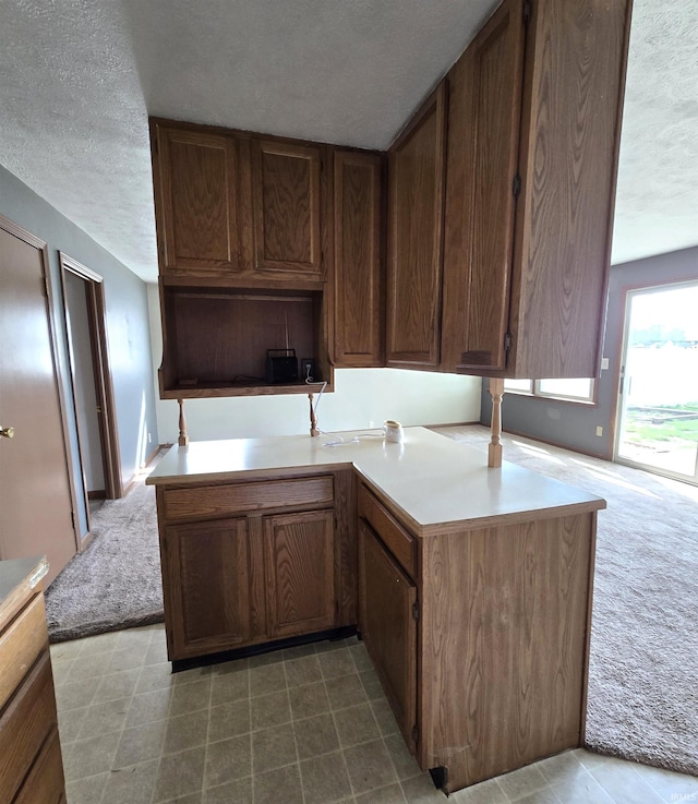 42 W Lakeside Dr, North Manchester, IN 46962 - kitchen featuring a textured ceiling, carpet flooring, and light countertops