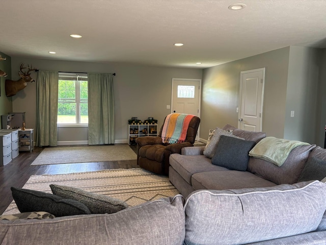 1264 W Greenbriar Dr, Washington, IN 47501 - living area with plenty of natural light, dark wood-style flooring, recessed lighting, and baseboards