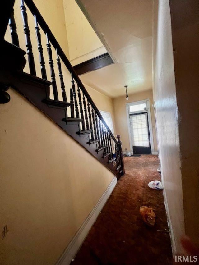 718 E Lewis St, Fort Wayne, IN 46802 - stairs with baseboards and carpet flooring