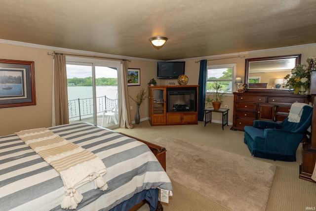 536 Garfield St, Osceola, IN 46561 - bedroom featuring access to exterior, carpet floors, crown molding, and baseboards