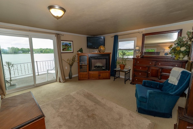 536 Garfield St, Osceola, IN 46561 - living area with ornamental molding, light carpet, and baseboards