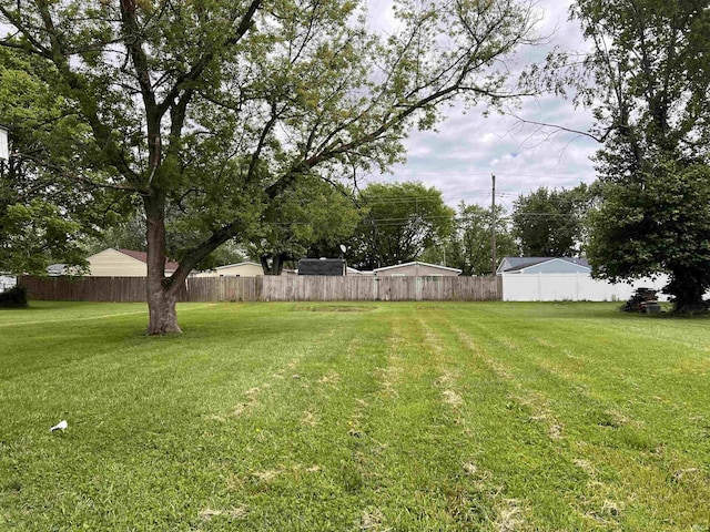 2809 S Landess St, Marion, IN 46953 - view of yard