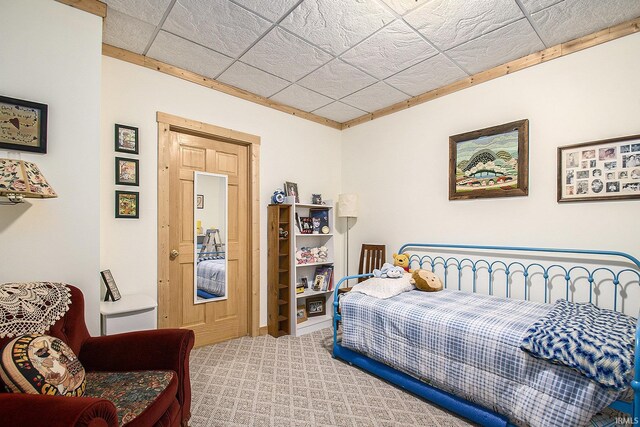 7185 N 1150 W, Shipshewana, IN 46565 - view of carpeted bedroom