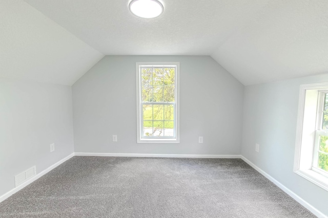 4280 S 1170 E, Lagrange, IN 46761 - bonus room featuring vaulted ceiling, carpet floors, plenty of natural light, and baseboards