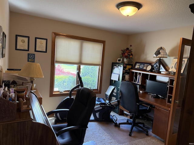 10123 Consta Verde Commons, Leo, IN 46765 - home office with carpet floors