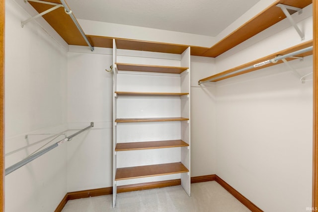 2519 Knightsbridge Dr, Fort Wayne, IN 46815 - spacious closet with carpet