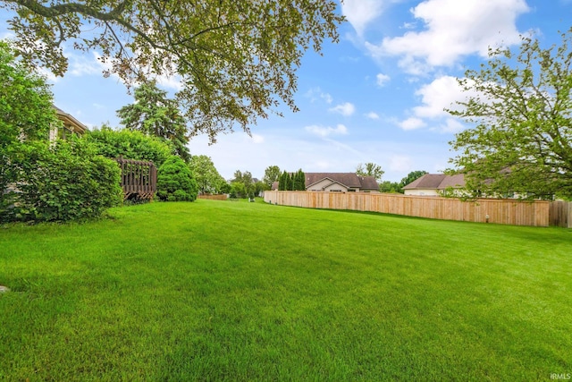 2519 Knightsbridge Dr, Fort Wayne, IN 46815 - view of yard