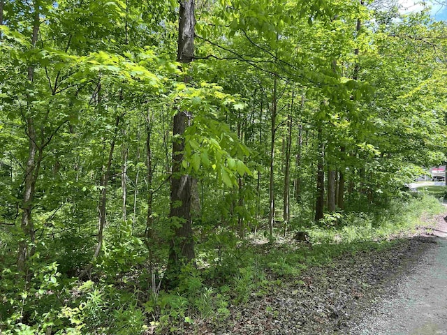 853 S 400 E Rd, Marion, IN 46953 - view of wooded area