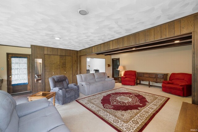 213 S Clark St, Auburn, IN 46706 - carpeted living area featuring wooden walls