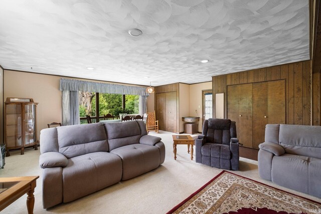 213 S Clark St, Auburn, IN 46706 - living room featuring healthy amount of natural light, light carpet, and wood walls