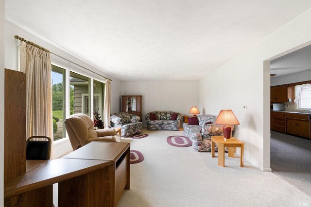 213 S Clark St, Auburn, IN 46706 - view of carpeted living room