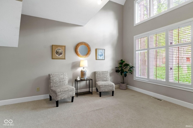 10919 Running Tide Ct, Indianapolis, IN 46236 - sitting room with carpet, lofted ceiling, and baseboards