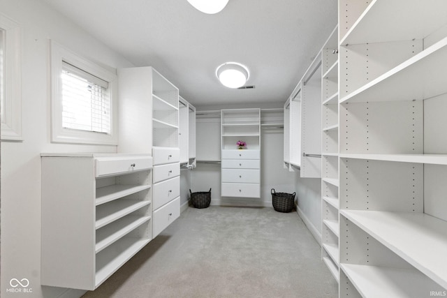 10919 Running Tide Ct, Indianapolis, IN 46236 - walk in closet featuring carpet flooring