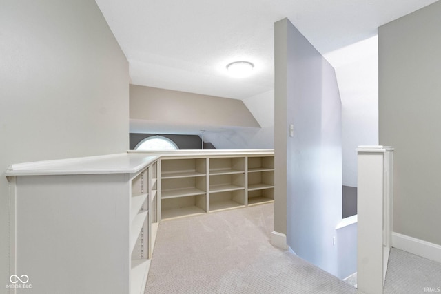10919 Running Tide Ct, Indianapolis, IN 46236 - walk in closet with carpet floors and lofted ceiling