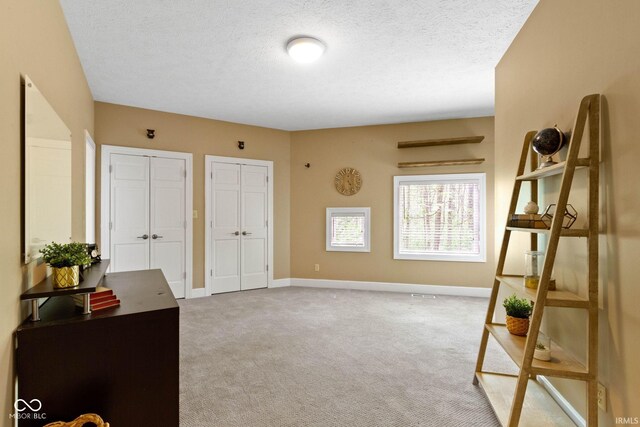 10919 Running Tide Ct, Indianapolis, IN 46236 - unfurnished office featuring carpet, baseboards, and a textured ceiling