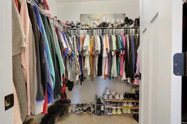 606 W Elm St, Haubstadt, IN 47639 - spacious closet with carpet