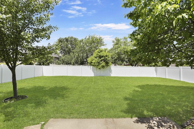 3746 Rolling Rock Dr, Evansville, IN 47711 - view of yard