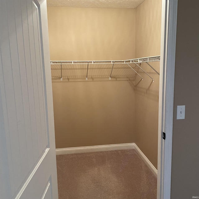 1841 S Patriot Dr, Yorktown, IN 47396 - spacious closet with carpet