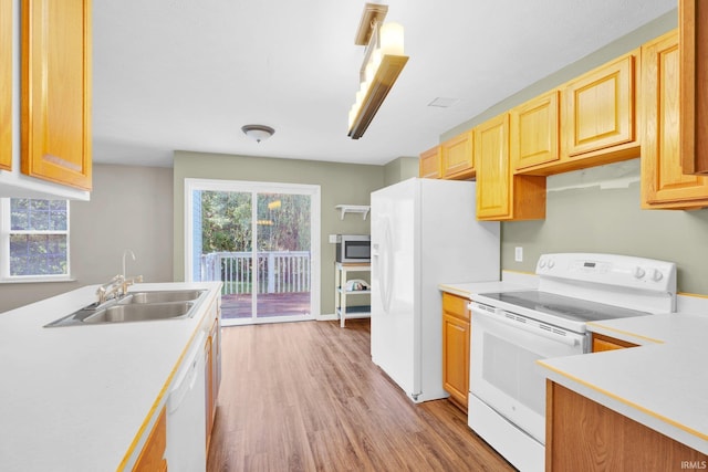 325 W Persimmon Ct, Bloomington, IN 47403 - kitchen with white appliances, a sink, light wood finished floors, light countertops, and light brown cabinetry