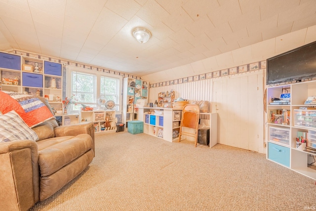 5026 N 450 W, Royal Center, IN 46978 - playroom with carpet floors