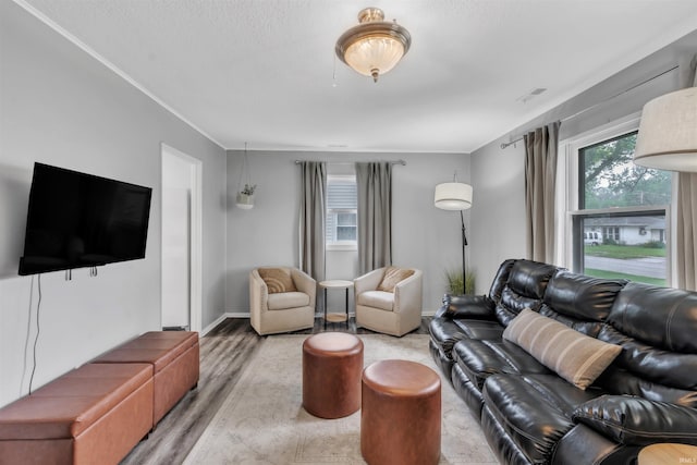 1122 Curdes Ave, Fort Wayne, IN 46805 - living room featuring light wood-style floors, ornamental molding, and baseboards