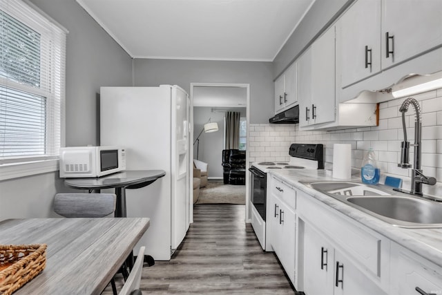 1122 Curdes Ave, Fort Wayne, IN 46805 - kitchen featuring white appliances, under cabinet range hood, a sink, light countertops, and healthy amount of natural light