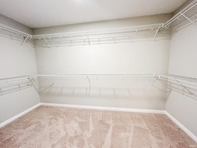8115 Jt Ct, Evansville, IN 47715 - walk in closet with carpet floors