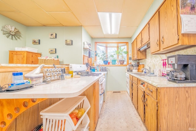 20 E Little St, Denver, IN 46926 - kitchen featuring light countertops, a sink, and white range with gas cooktop