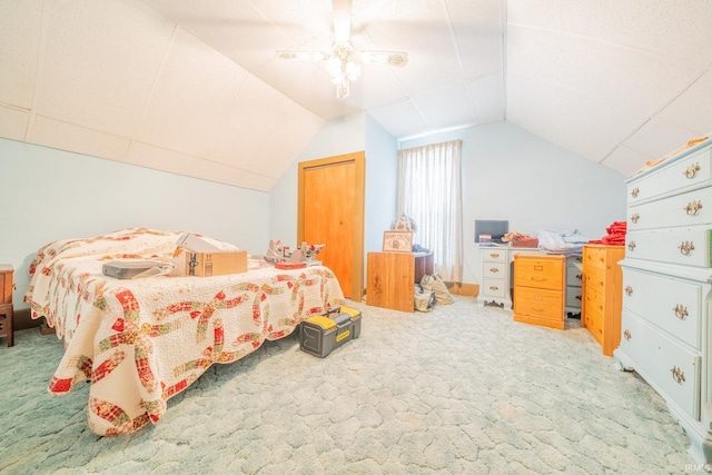 20 E Little St, Denver, IN 46926 - carpeted bedroom with lofted ceiling