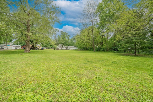 20 E Little St, Denver, IN 46926 - view of grassy yard