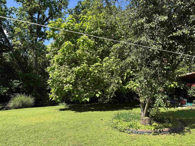 451 Miller Ave, Clarksville, IN 47129 - view of green lawn