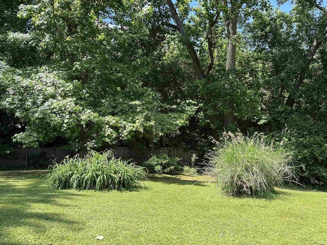 451 Miller Ave, Clarksville, IN 47129 - view of yard