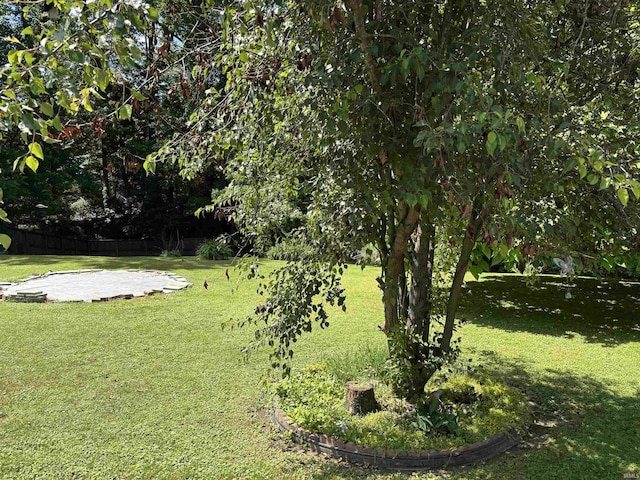 451 Miller Ave, Clarksville, IN 47129 - view of yard