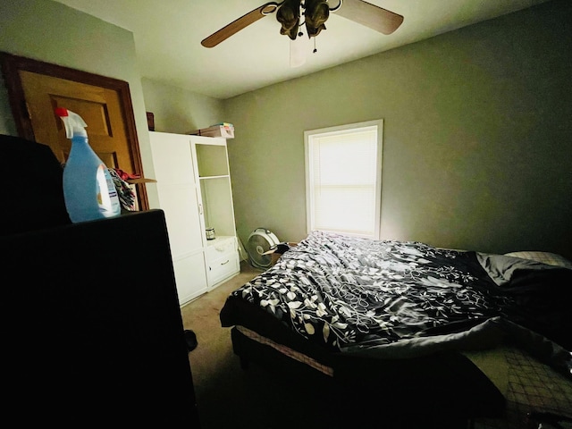 1206 N Walnut St, Plymouth, IN 46563 - bedroom with light colored carpet and a ceiling fan