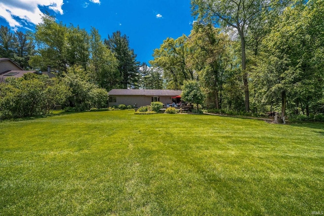 21485 Wallen Dr, South Bend, IN 46628 - view of green lawn