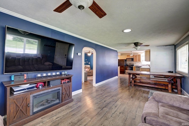 6447 W Delap Rd, Ellettsville, IN 47429 - living area with a ceiling fan, ornamental molding, baseboards, wood finished floors, and a textured ceiling