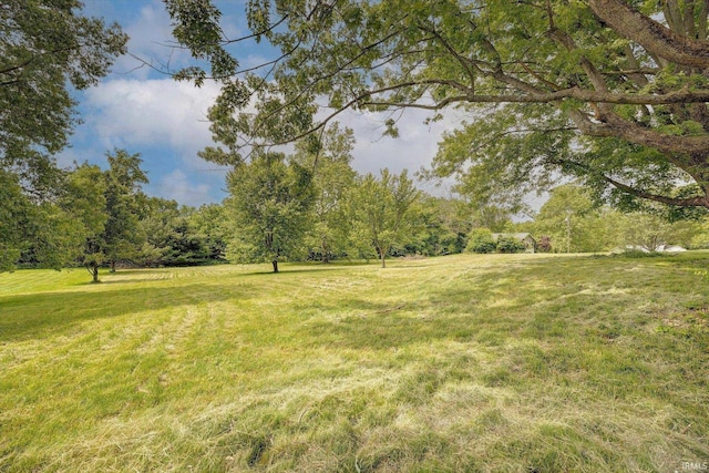6447 W Delap Rd, Ellettsville, IN 47429 - view of green lawn featuring a forest view