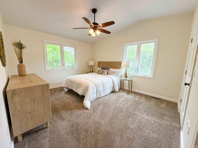 22073 County Road 10 W, Elkhart, IN 46514 - bedroom with multiple windows, baseboards, lofted ceiling, and dark carpet