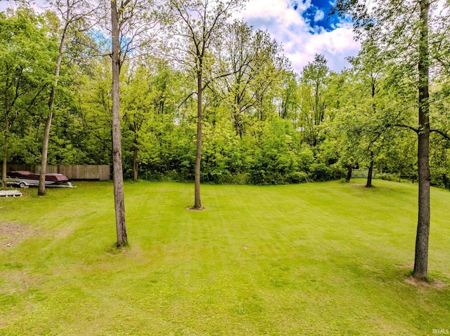 501 W Fox Lake Rd, Angola, IN 46730 - view of yard