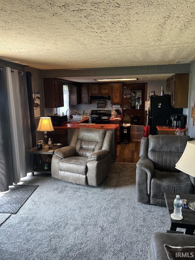 7109 W 100 S, Wabash, IN 46992 - living area featuring carpet